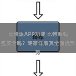 比特派APP功能 比特派钱包安全吗？专家详解其全面优势