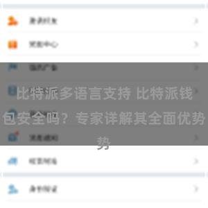 比特派多语言支持 比特派钱包安全吗？专家详解其全面优势