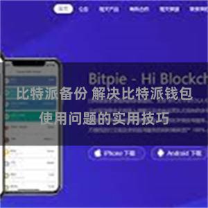 比特派备份 解决比特派钱包使用问题的实用技巧