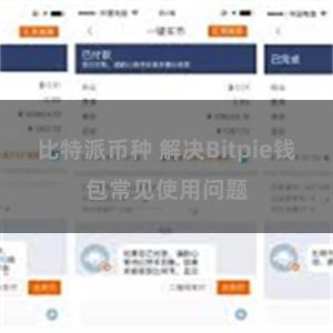 比特派币种 解决Bitpie钱包常见使用问题