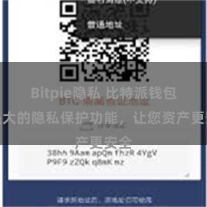 Bitpie隐私 比特派钱包：强大的隐私保护功能，让您资产更安全