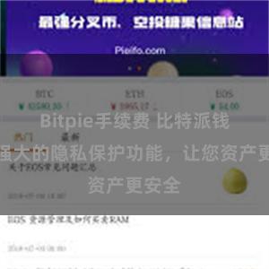 Bitpie手续费 比特派钱包：强大的隐私保护功能，让您资产更安全