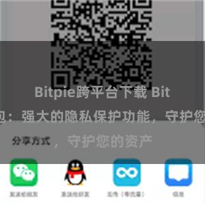 Bitpie跨平台下载 Bitpie钱包：强大的隐私保护功能，守护您的资产