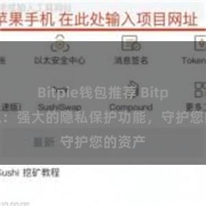 Bitpie钱包推荐 Bitpie钱包：强大的隐私保护功能，守护您的资产