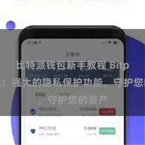 比特派钱包新手教程 Bitpie钱包：强大的隐私保护功能，守护您的资产