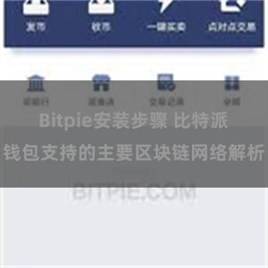 Bitpie安装步骤 比特派钱包支持的主要区块链网络解析