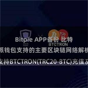 Bitpie APP备份 比特派钱包支持的主要区块链网络解析