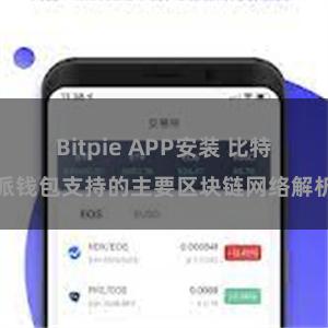 Bitpie APP安装 比特派钱包支持的主要区块链网络解析