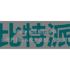 Bitpie iOS Bitpie钱包：资产100%自主掌控，安全可靠。