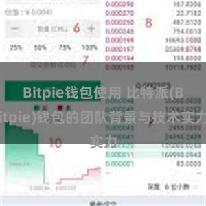 Bitpie钱包使用 比特派(Bitpie)钱包的团队背景与技术实力