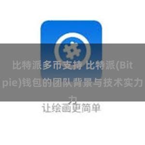 比特派多币支持 比特派(Bitpie)钱包的团队背景与技术实力