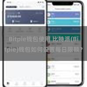 Bitpie钱包使用 比特派(Bitpie)钱包如何设置每日限额？