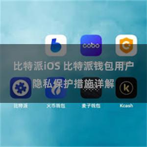 比特派iOS 比特派钱包用户隐私保护措施详解