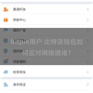 Bitpie用户 比特派钱包如何应对网络拥堵？