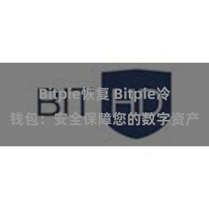 Bitpie恢复 Bitpie冷钱包：安全保障您的数字资产