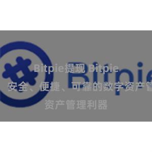 Bitpie提现 Bitpie热钱包：安全、便捷、可靠的数字资产管理利器
