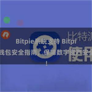 Bitpie系统支持 Bitpie钱包安全指南，保障数字资产安全！
