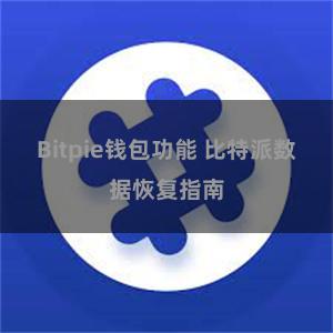Bitpie钱包功能 比特派数据恢复指南