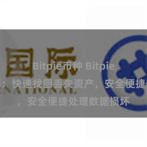 Bitpie币种 Bitpie应用恢复指南：快速找回丢失资产，安全便捷处理数据损坏