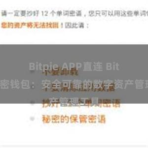 Bitpie APP直连 Bitpie加密钱包：安全可靠的数字资产管理工具
