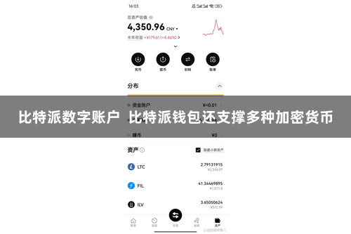 比特派数字账户  比特派钱包还支撑多种加密货币