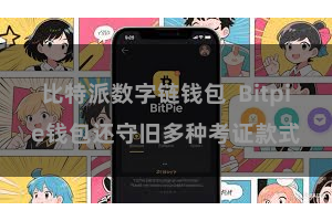 比特派数字链钱包  Bitpie钱包还守旧多种考证款式