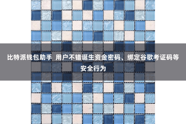 比特派钱包助手  用户不错诞生资金密码、绑定谷歌考证码等安全行为
